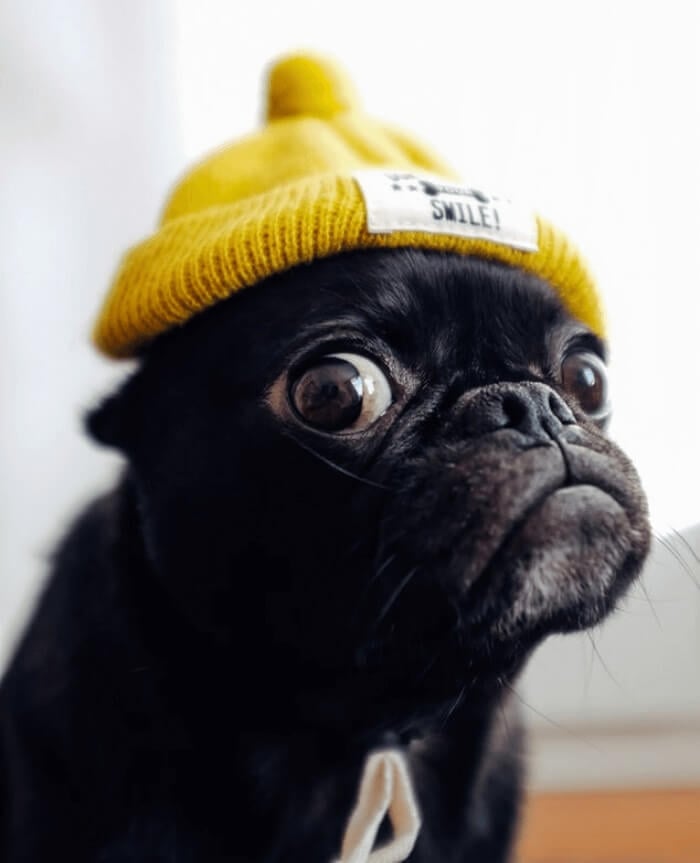 Remova o áudio do vídeo online gratuitamente, sem marca d'água 🤖