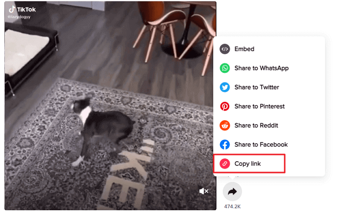 Der Link vom TikTok Video auf den Desktop kopieren