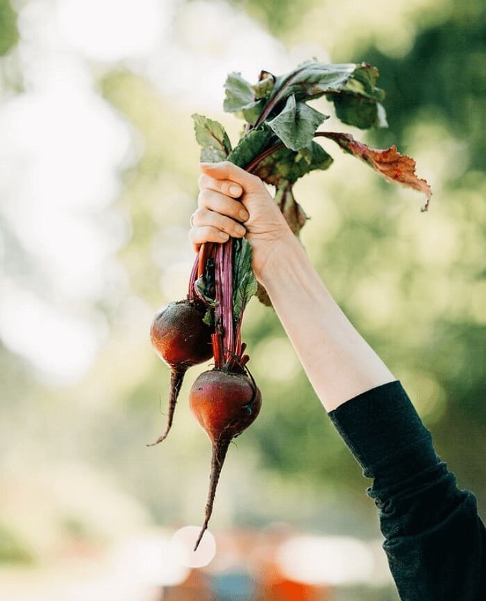 How to Convert MP3 to a CD