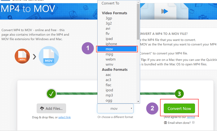 Convertir MP4 en MOV avec zamzar