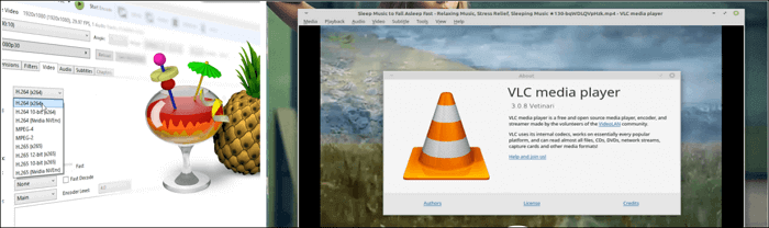 핸드 브레이크 대 vlc