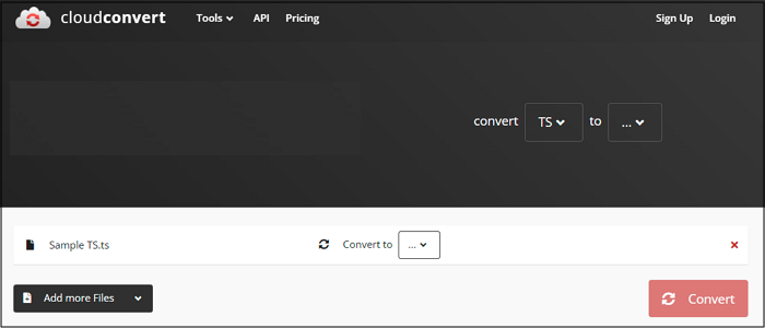 Convert TS to MKV online