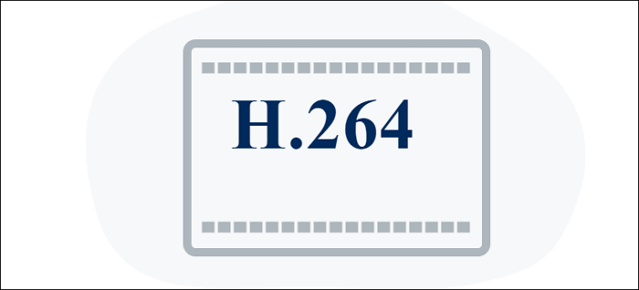 h264 format