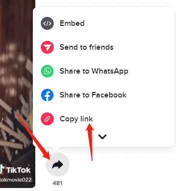 Copie o URL do vídeo TikTok na web