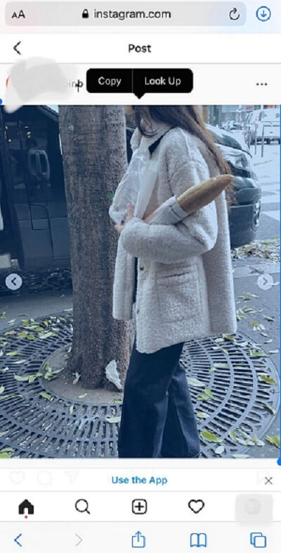 Baixe fotos do Instagram para iPhone