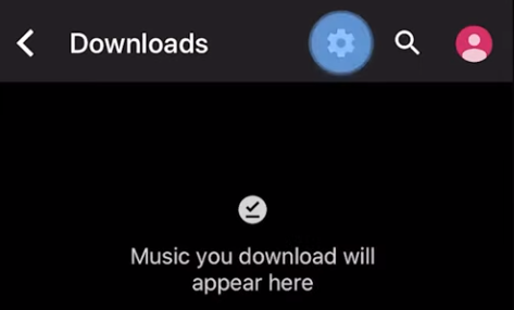 Gehen Sie zu „Downloads“ und drücken Sie auf „Einstellungen“.