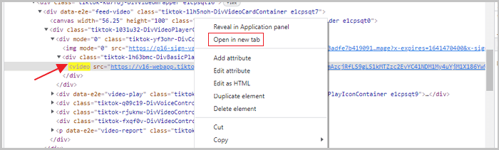 Scarica i video di TikTok dal sito web - 1