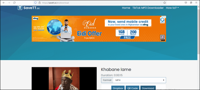 Laden Sie TikTok-Videos ohne Wasserzeichen herunter