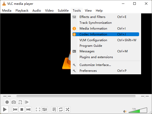 ir para informações do codec