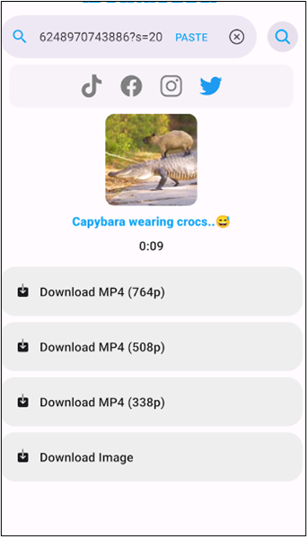 Formatauswahlmöglichkeit idownloader