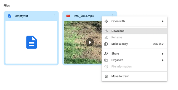 google-drive-large-file-download-failed-3
