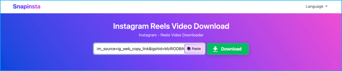 how-to-download-instagram-reels-video-by-link-online