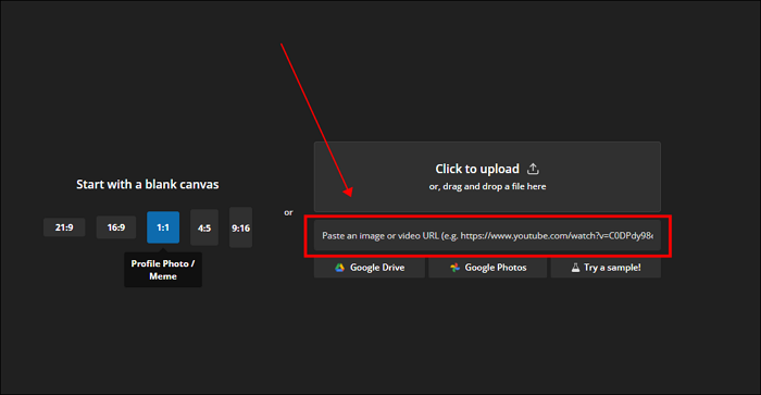 Geben Sie die YouTube-Video-URL in das Feld ein
