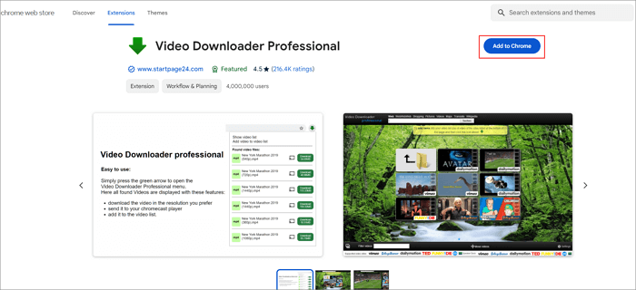 video downloader professional installieren