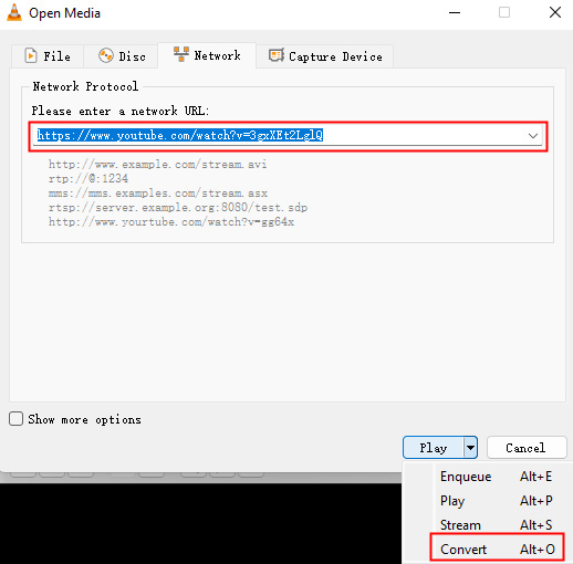 cole o link do youtube e clique em converter