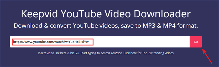 inserisci il collegamento del video di YouTube nella casella di download