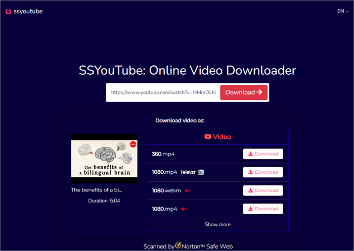 ssyoutube download video