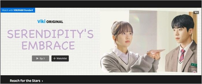 viki-movie-site-interface.jpg