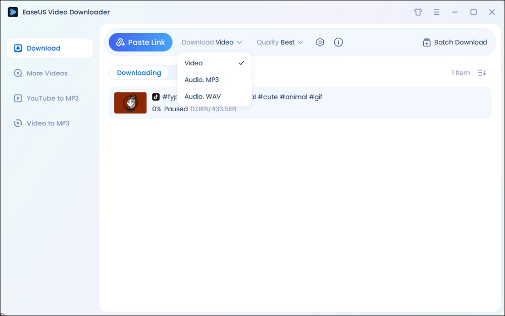 select-tiktok-gif-format-easeus-video-downloader.jpg