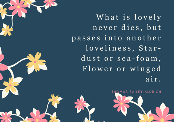 georgia subtitle font