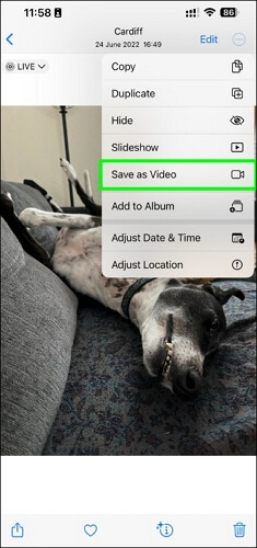 Als Video speichern wählen