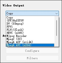 choose video output format