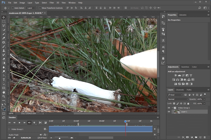 convertire mp4 in GIF