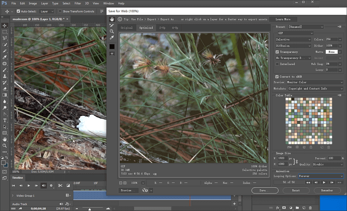 fare la conversione da video in GIF