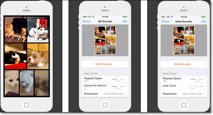 GIF merger on iPhone - GIF Grid