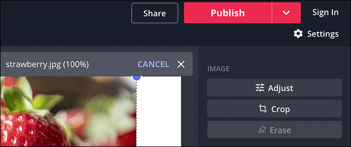 kapwing esporta video