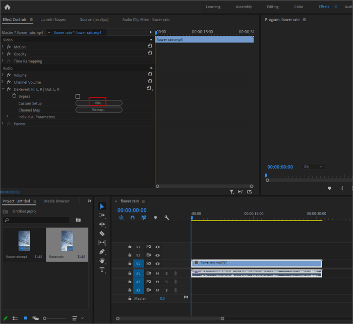 premiere pro apply dereverb