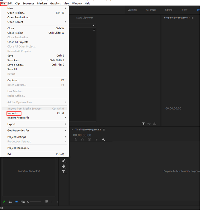 premiere pro import video with echo