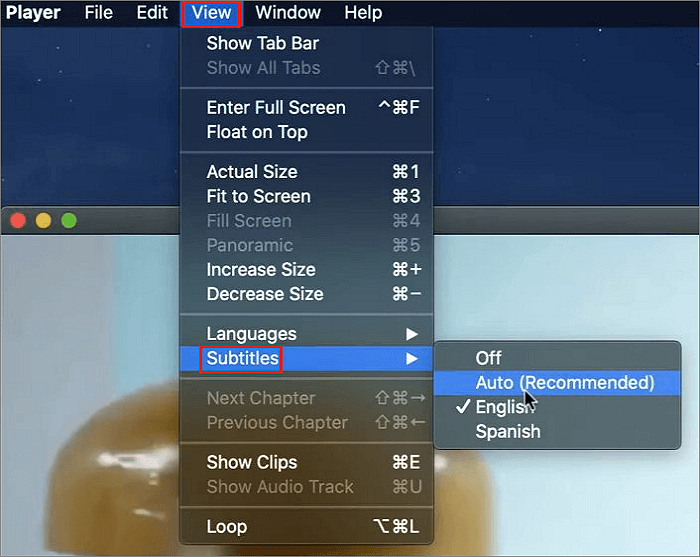 quicktime choose language