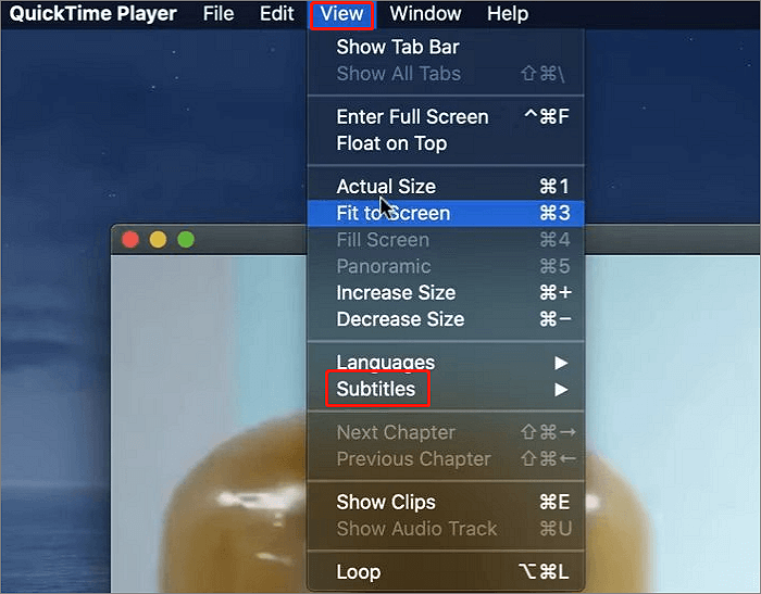 quicktime choose subtitle option