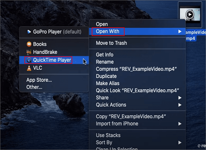 quicktime open the video