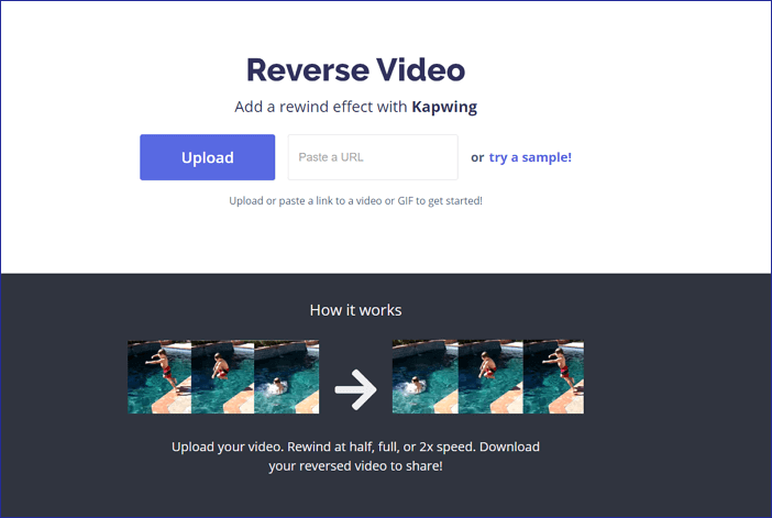 kapwing reverse video