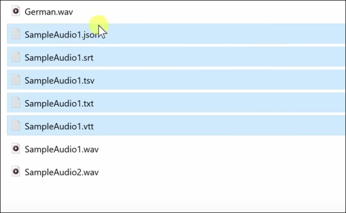 Text files generated by Whisper AI