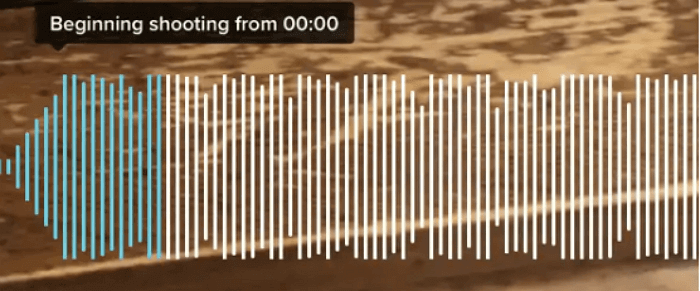 tiktok sistema musica