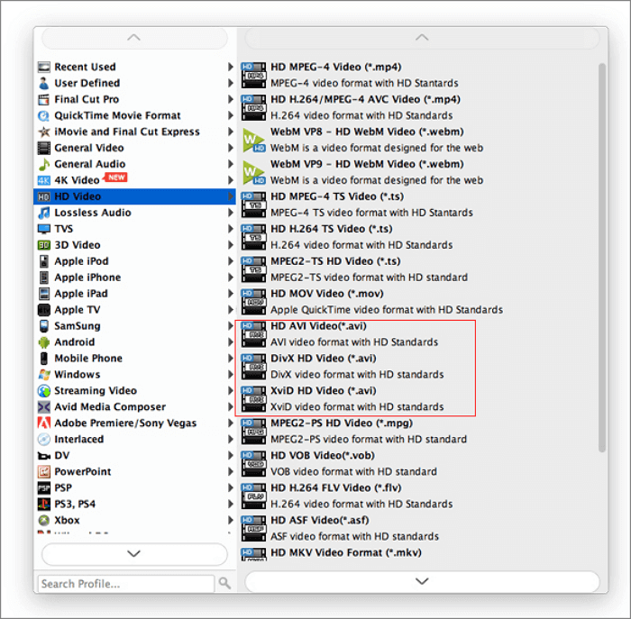 convertitore video seleziona il formato avi.