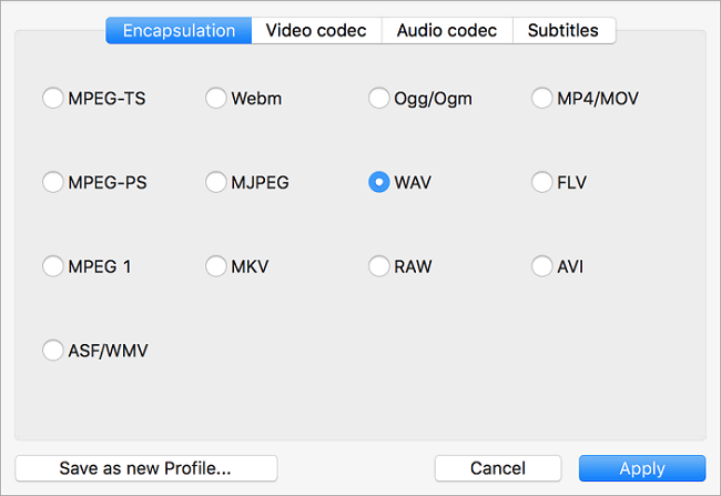 selezionare il formato di audio e iniziare la conversione