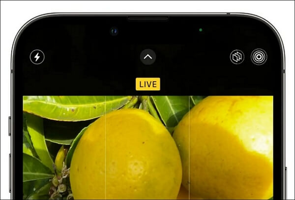 Was ist ein Live-Foto?