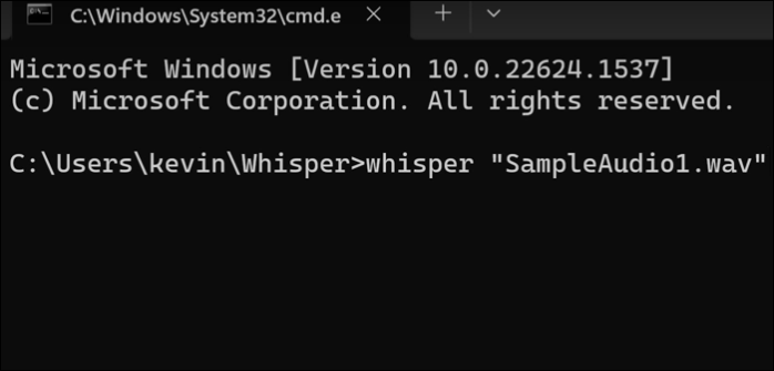 Use Whisper AI commands to generate text files