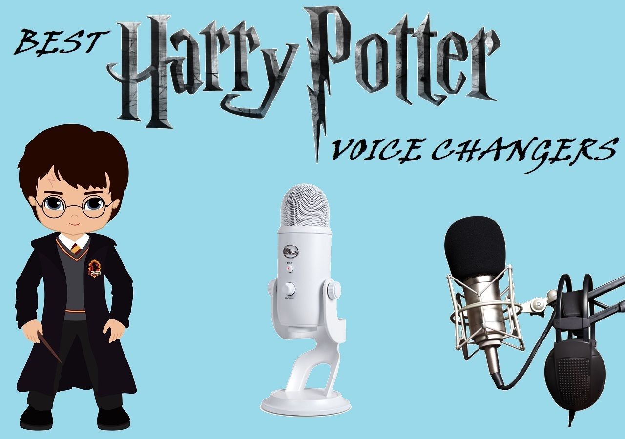 harry potter stimmwechsler