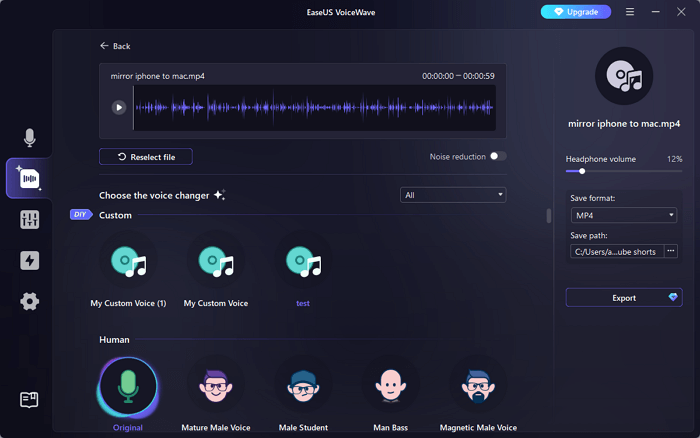 choose voice effect
