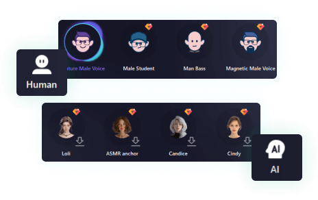 find-voice-video