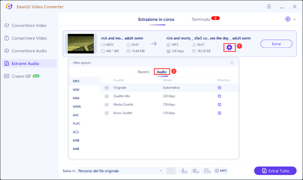 selezionare formato di file desiderato