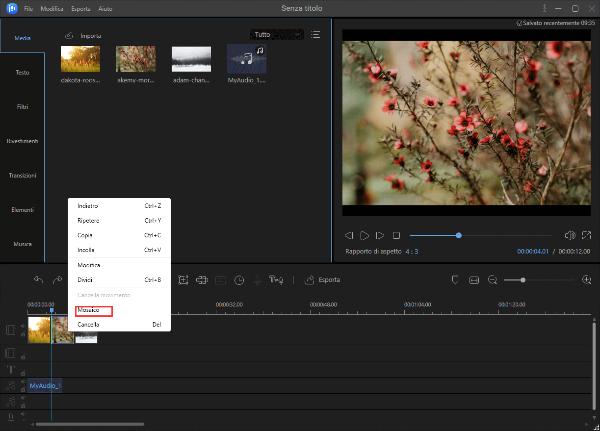 aggiungere le foto al software