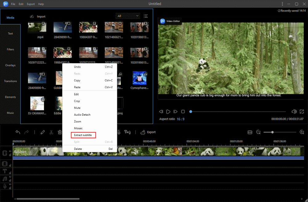 estrarre sottotitolo
