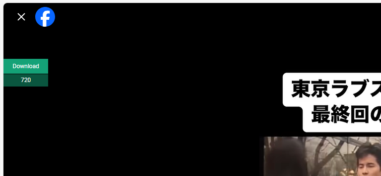 Video Downloader Professional