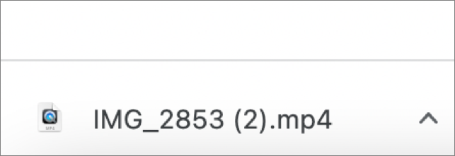 Googleドライブから直接ダウンロード